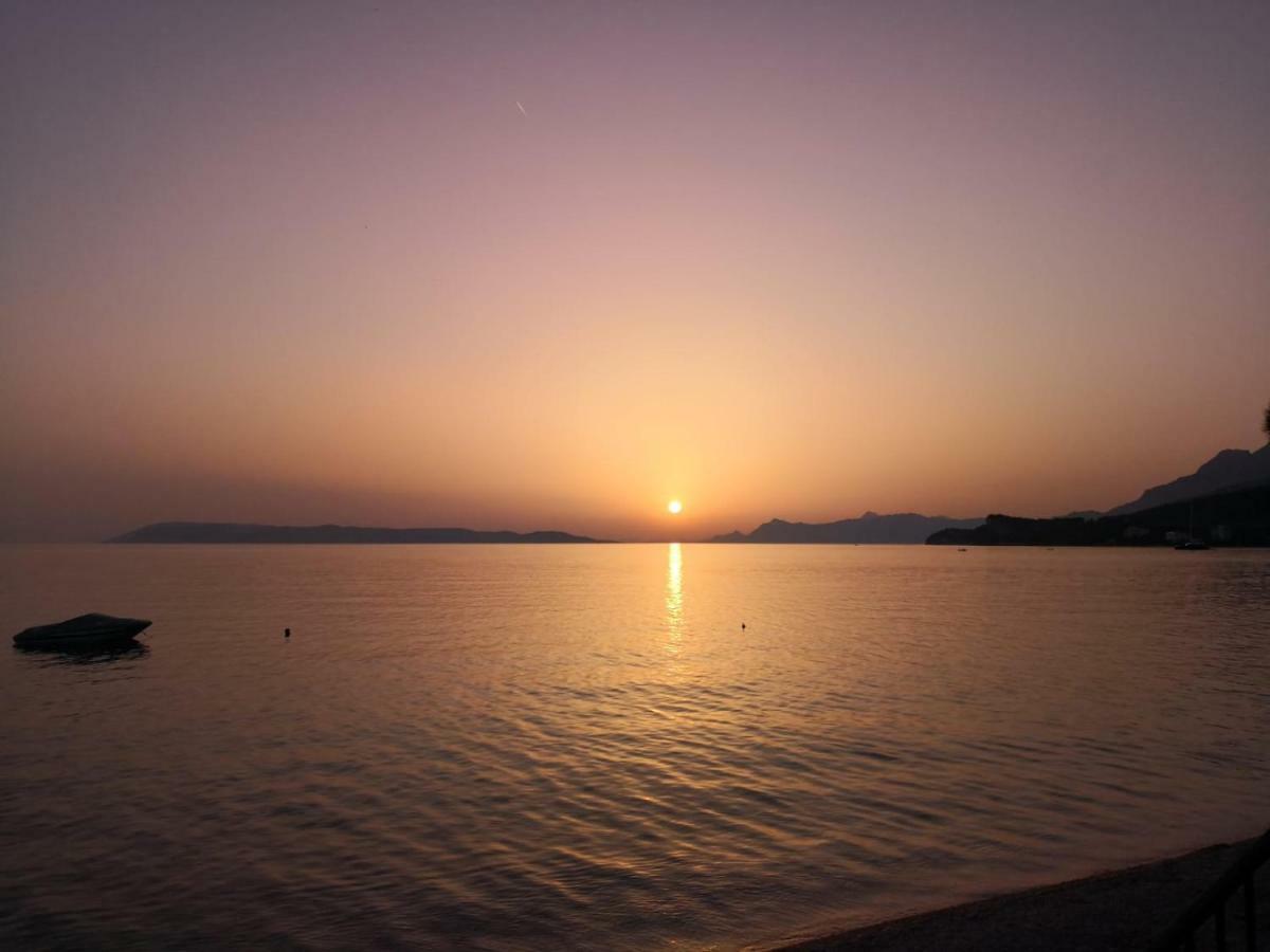 Villa Dalma Tučepi Dış mekan fotoğraf